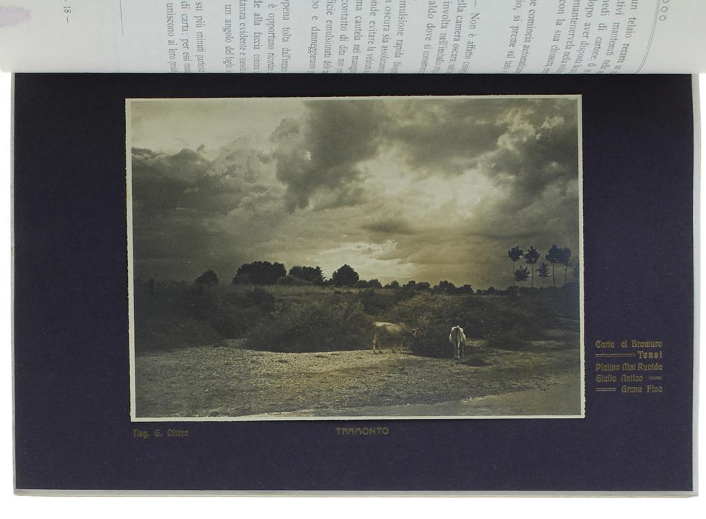 Le Carte Al Bromuro. Edizione Fatta A Cura Del Club D'arte Di Torino Corredata Di Sei Tavole Al Bromuro Da Negativi Di Alifredi, Dall'armi, Ingaramo, Moretti, Oliaro, Vitali Con Un'appendice Su Le Carte Negative