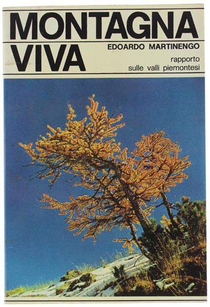 Montagna Viva. Rapporto Sulle Valli Piemontesi - Edoardo Martinengo - copertina