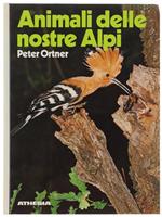 Animali Delle Nostre Alpi Con Particolare Riferimento Al Sudtirolo
