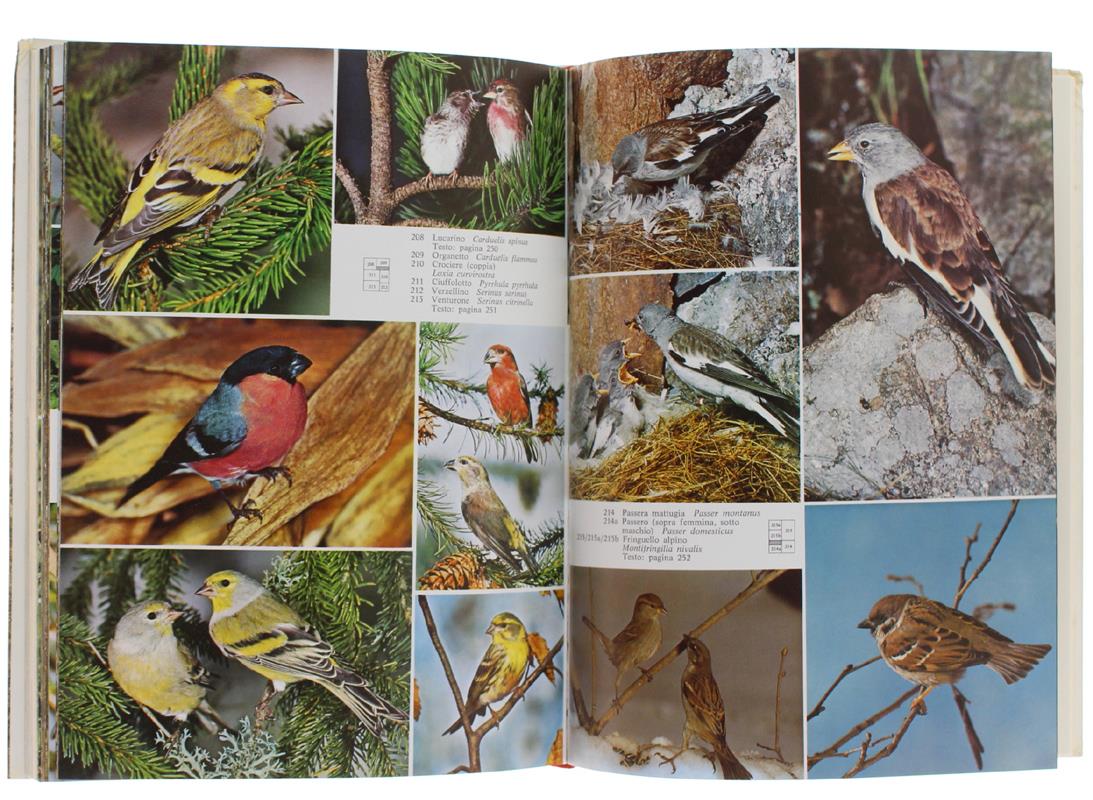 Animali Delle Nostre Alpi Con Particolare Riferimento Al Sudtirolo