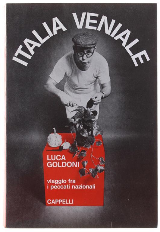 Italia Veniale. Viaggio fra i peccati nazionali - Luca Goldoni - copertina