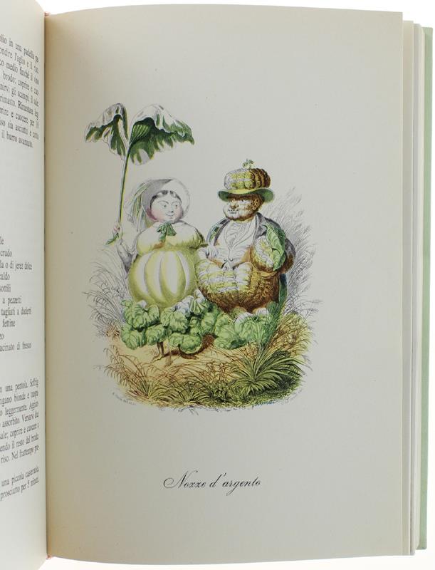 Le Delizie Della Mia Cucina. Con Una Presentazione Di Paolo Monelli E Una Testimonianza Di Alberto Consiglio