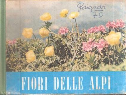Fiori Delle Alpi - Testo E Note Del Prof. Italo Gretter - copertina