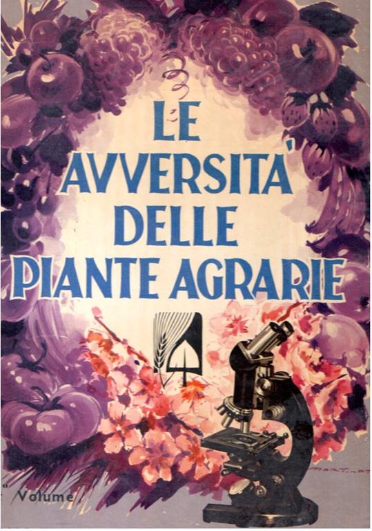 Libroteka di Fattoretti Silvia