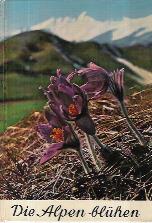 Libroteka di Fattoretti Silvia