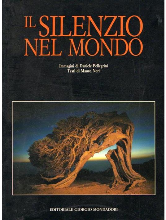 Il Silenzio Nel Mondo - Mauro Neri - copertina