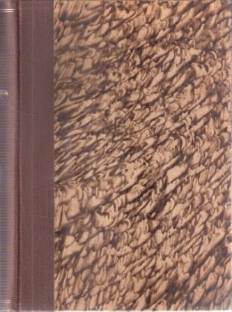 Libroteka di Fattoretti Silvia