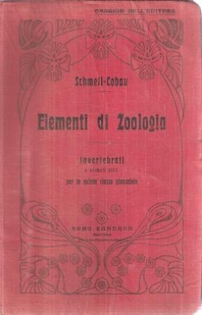 Libroteka di Fattoretti Silvia