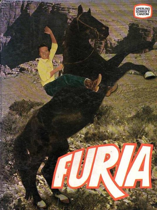 Furia - Maurizio Seymandi - copertina