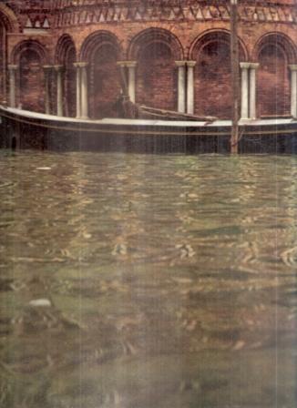 Libroteka di Fattoretti Silvia