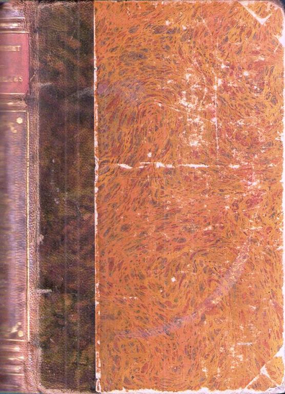 Libroteka di Fattoretti Silvia