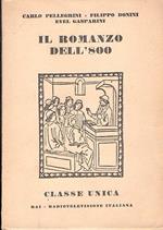 Il Romanzo Dell'800
