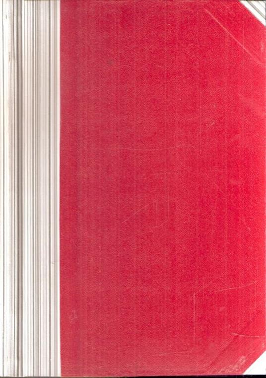 Nuovissimi Temi Svolti - Raffaele Bagnoli - copertina