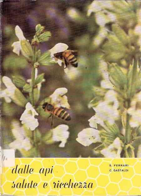 Libroteka di Fattoretti Silvia