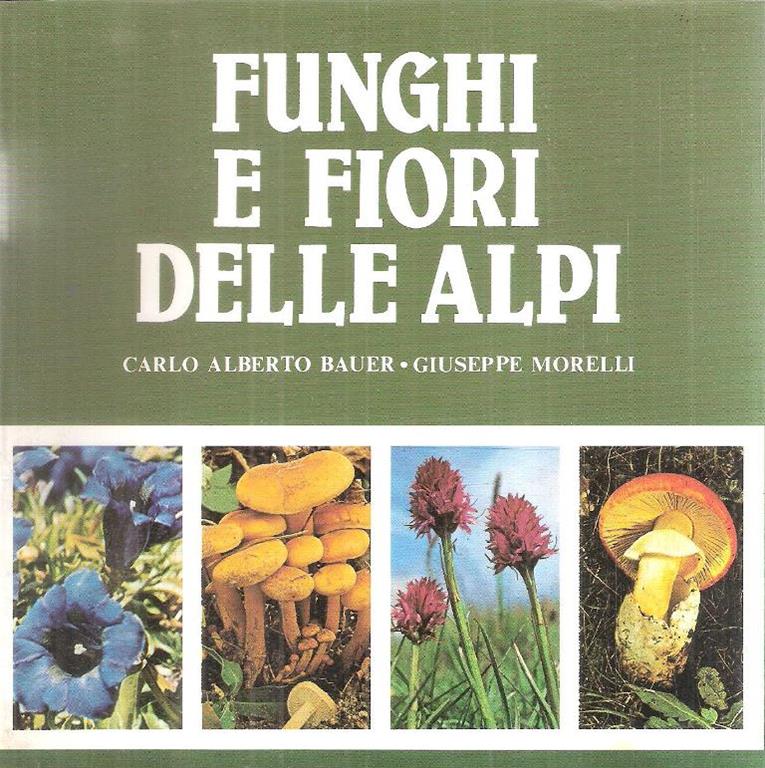 Libroteka di Fattoretti Silvia