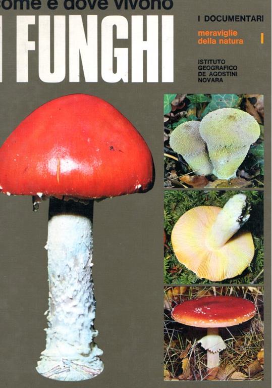 Libroteka di Fattoretti Silvia