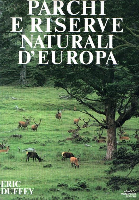 Libroteka di Fattoretti Silvia