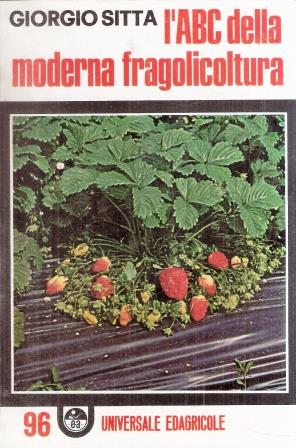 Libroteka di Fattoretti Silvia