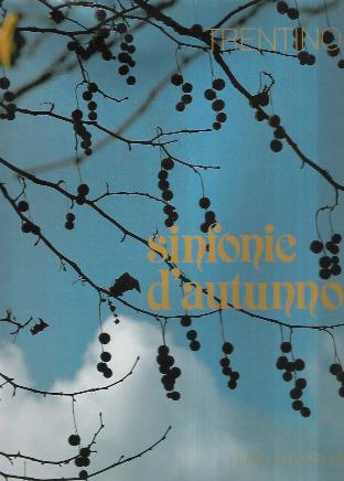 Libroteka di Fattoretti Silvia