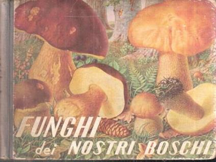 Funghi Dei Nostri Boschi - copertina