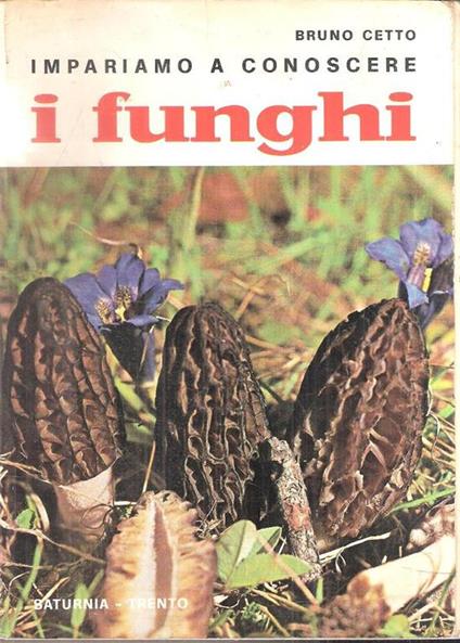 Impariamo A Conoscere I Funghi - Bruno Cetto - copertina