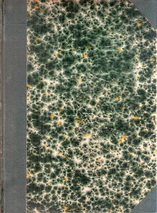 La Fidanzata Impossibile - Gabor Vaszary - copertina