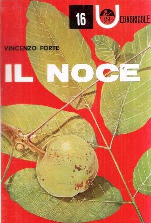 Il Noce - Vincenzo Forte - copertina