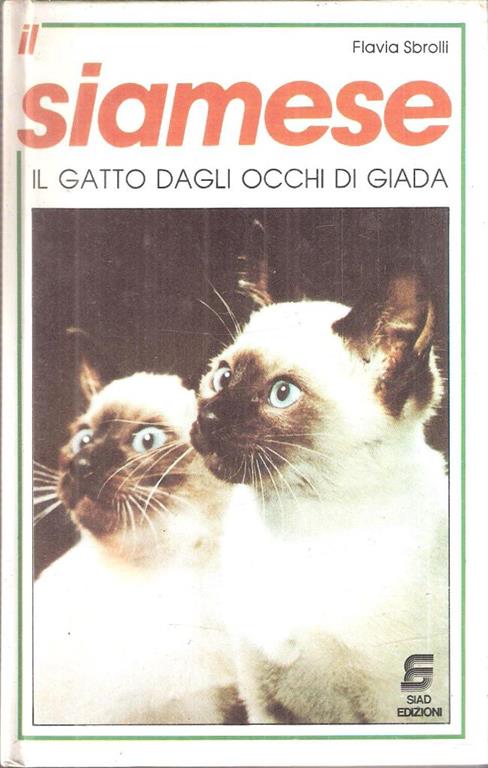 Libroteka di Fattoretti Silvia