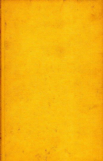 La Camicia Bianca - Grace Metalious - copertina