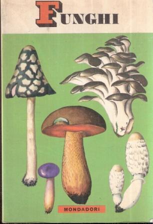 Libroteka di Fattoretti Silvia