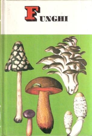 Libroteka di Fattoretti Silvia