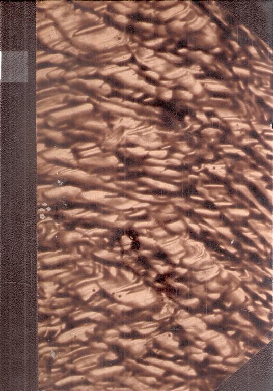 Libroteka di Fattoretti Silvia