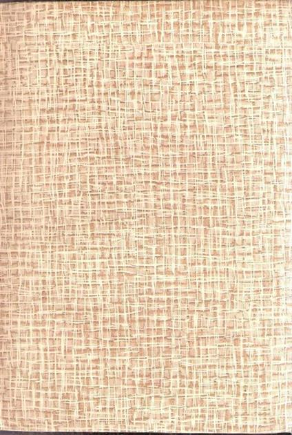 Il Fanciullo Rapito - Robert Louis Stevenson - copertina