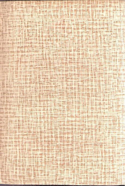 Il Fanciullo Rapito - Robert Louis Stevenson - copertina