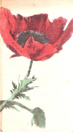 Libroteka di Fattoretti Silvia