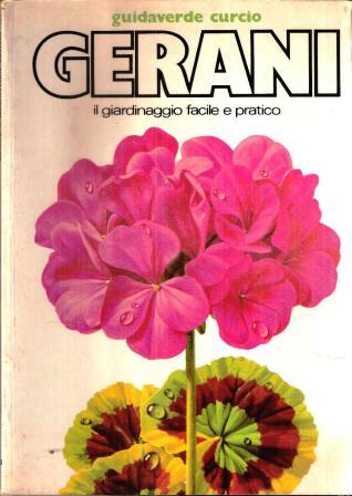 Libroteka di Fattoretti Silvia