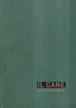 Libroteka di Fattoretti Silvia