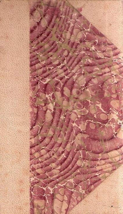 Le Teorie Dell'evoluzione. Lettere Di Un Cappellano Esposto Di Montagna Ad Un Suo Allievo Studente - copertina