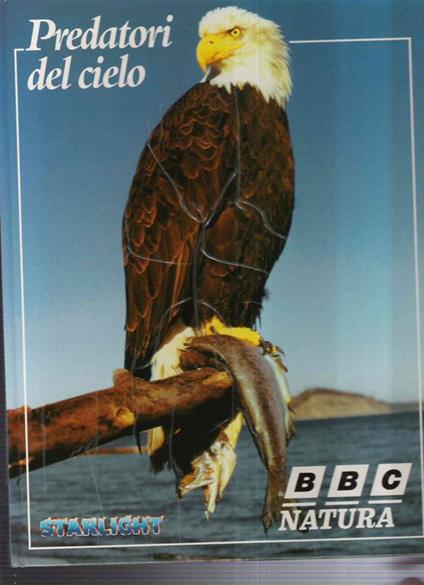 Predatori Del Cielo - copertina