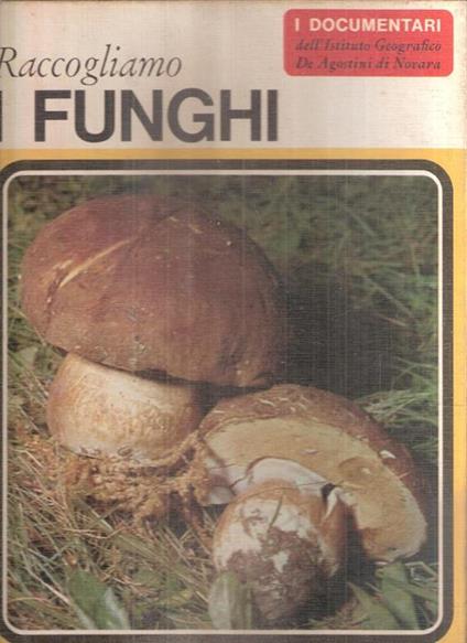 Raccogliamo I Funghi - copertina