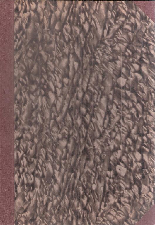 Libroteka di Fattoretti Silvia