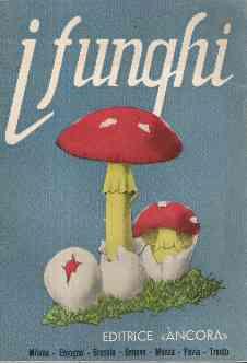 Libroteka di Fattoretti Silvia