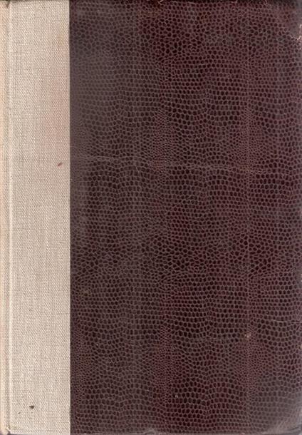 Pubblicazioni - Turno Lubich - copertina