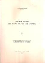 Fenomeni Franosi Nel Bacino Del Rio Salé (Trento)