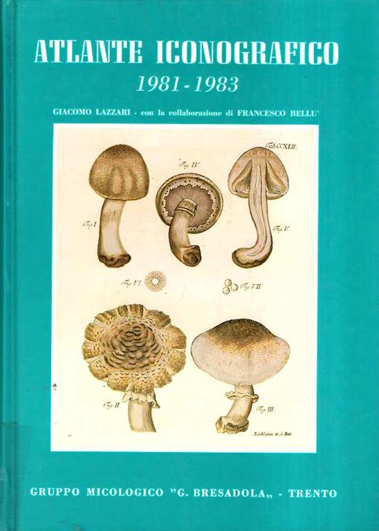 Libroteka di Fattoretti Silvia