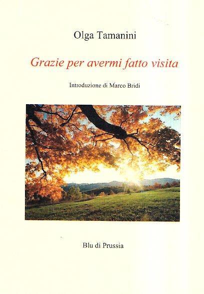 Grazie Per Avermi Fatto Visita - Olga Tamanini - copertina