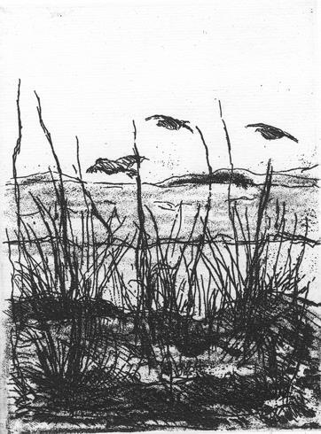 L' Incisione. 1972, N. 13 - 3