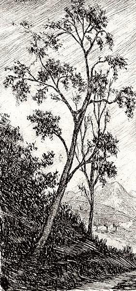 L' Incisione. 1971, N. 6 - copertina