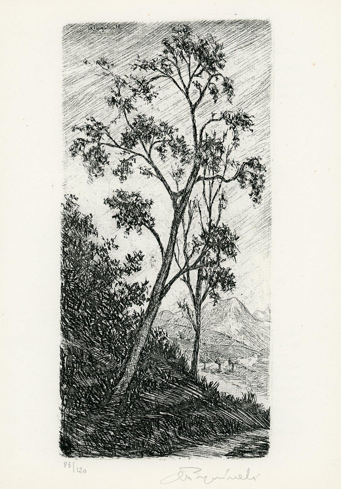 L' Incisione. 1971, N. 6