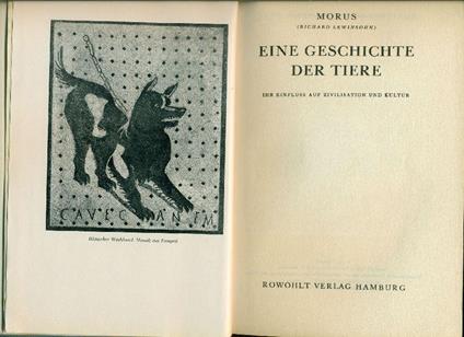 Eine geschichte der tiere - Morus - copertina